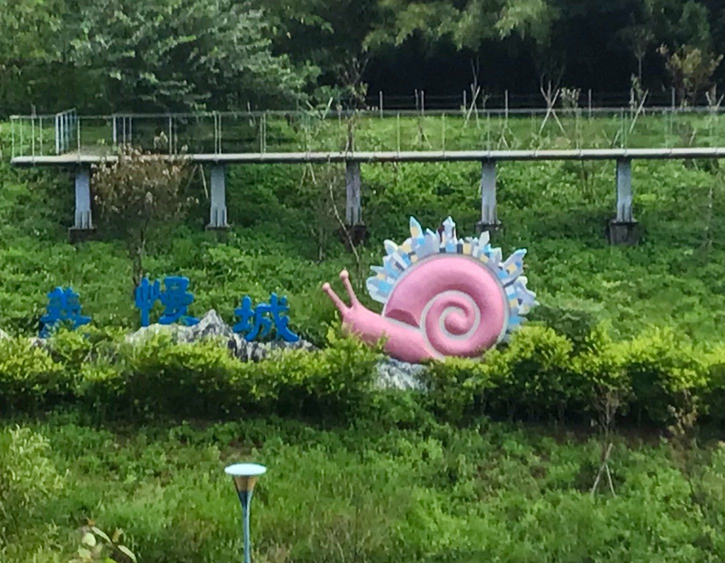 照片