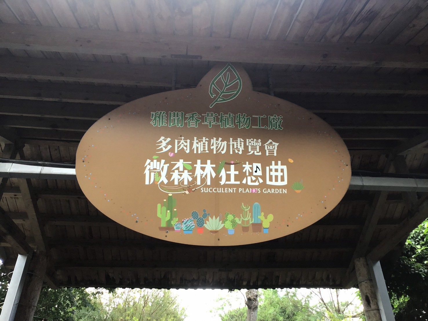 照片