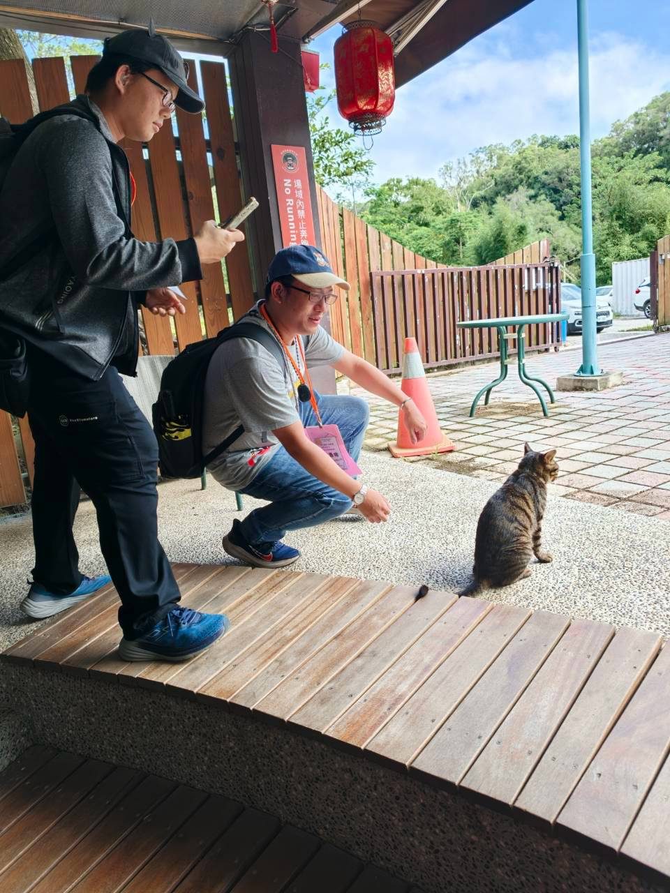 照片